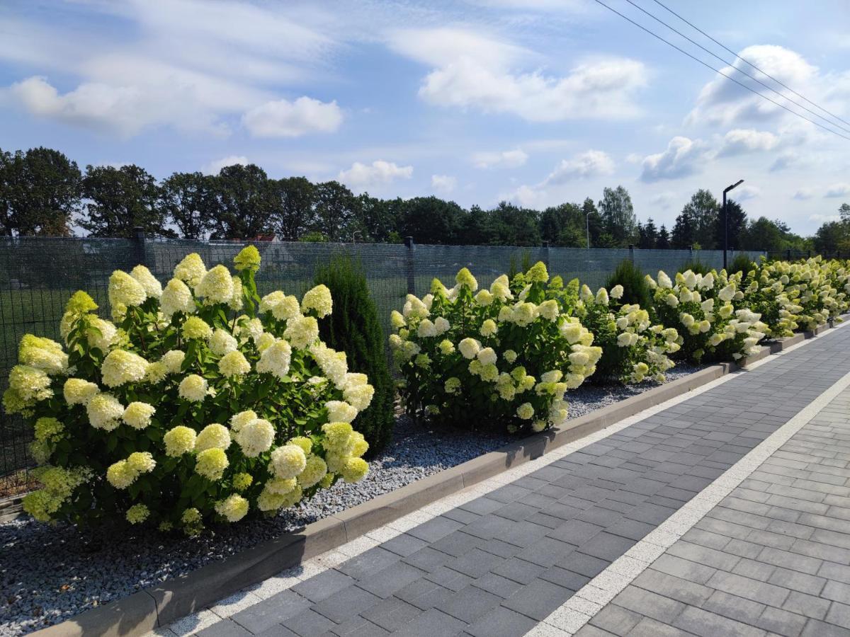 Miodowa Sadyba Domki Caloroczne Kluczbork Ligota Zamecka Exterior foto